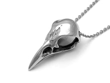 Blue Jay Skull Necklace, Ornithology Bird Jewelry in Pewter