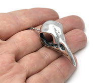 Blue Jay Skull Necklace, Ornithology Bird Jewelry in Pewter
