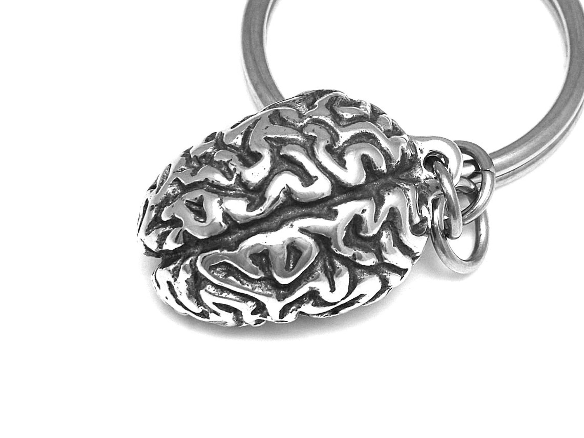 Human Brain Keychain, Anatomical Keyring in Pewter – Farjil