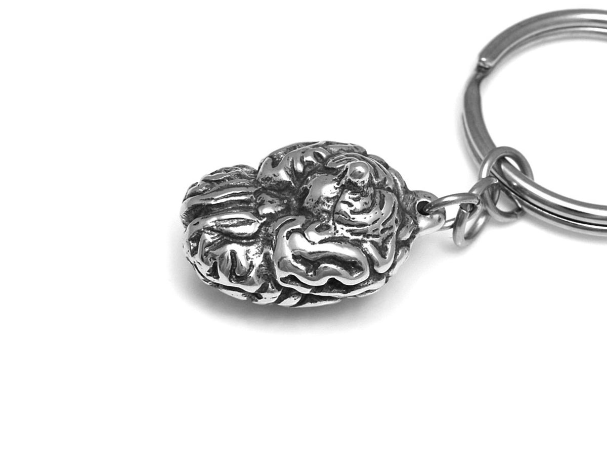 Human Brain Keychain, Anatomical Keyring in Pewter – Farjil