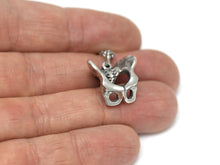 Pelvis Necklace, Pelvic Human Anatomy Jewelry in Pewter