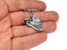 Scapula Keychain, Anatomical Keyring in Pewter