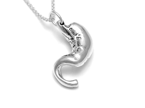 Anatomical Stomach Necklace, Anatomy Jewelry in Sterling Silver