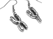 X- and Y Chromosome Dangle Earrings, Genetics Jewelry