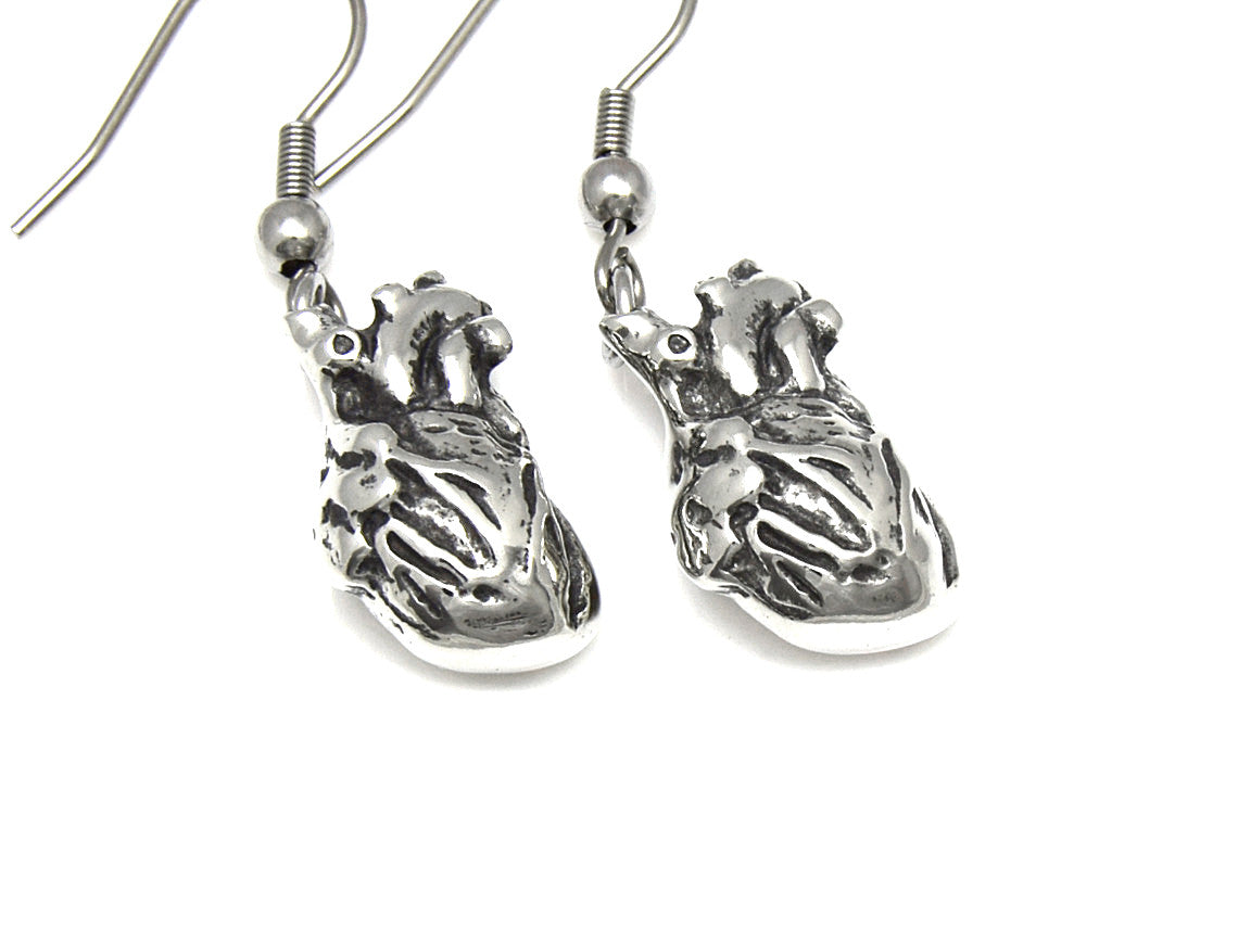 Anatomical Heart Earrings, Anatomy Jewelry in Pewter
