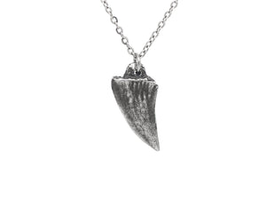 Small Shark Tooth Necklace, Beach Jewelry