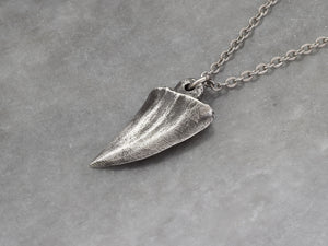Small Shark Tooth Necklace, Beach Jewelry