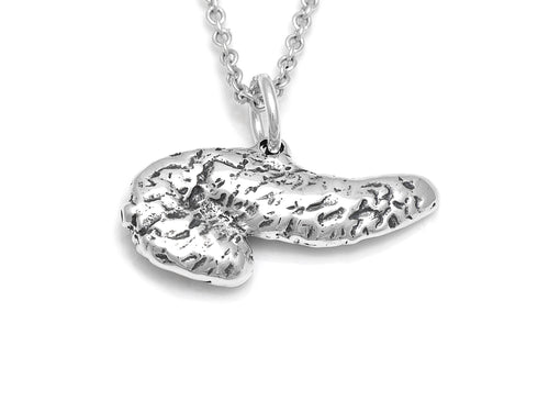 Pancreas Charm Necklace, Anatomy Jewelry in Sterling Silver
