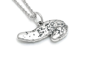 Pancreas Charm Necklace, Anatomy Jewelry in Sterling Silver