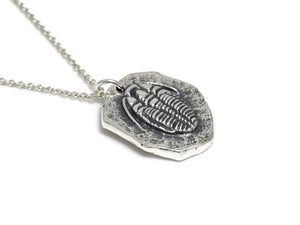 Trilobite Fossil Necklace, Archaeology Jewelry in Sterling Silver