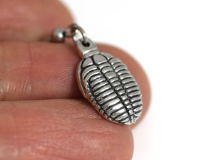 Trilobite Earrings, Fossil Jewelry in Pewter